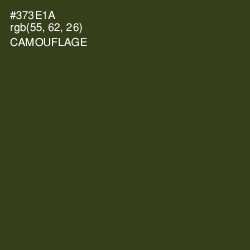 #373E1A - Camouflage Color Image