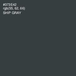 #373E42 - Ship Gray Color Image