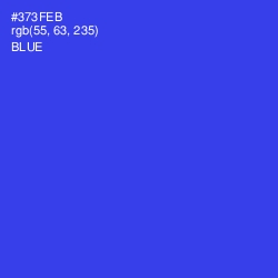 #373FEB - Blue Color Image