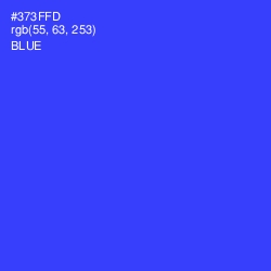 #373FFD - Blue Color Image