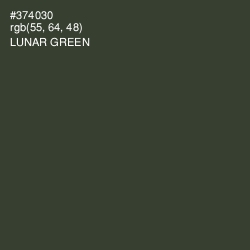 #374030 - Lunar Green Color Image