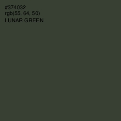 #374032 - Lunar Green Color Image