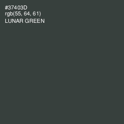 #37403D - Lunar Green Color Image