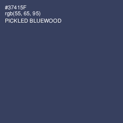 #37415F - Pickled Bluewood Color Image