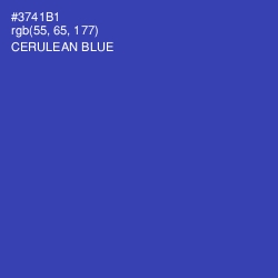 #3741B1 - Cerulean Blue Color Image