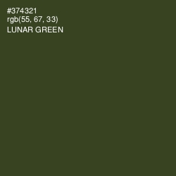 #374321 - Lunar Green Color Image