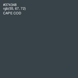 #374348 - Cape Cod Color Image