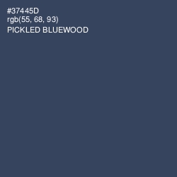 #37445D - Pickled Bluewood Color Image