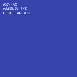 #3744AD - Cerulean Blue Color Image