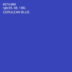 #3744BA - Cerulean Blue Color Image