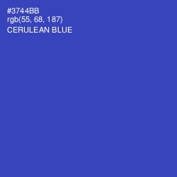 #3744BB - Cerulean Blue Color Image