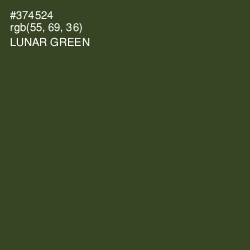 #374524 - Lunar Green Color Image