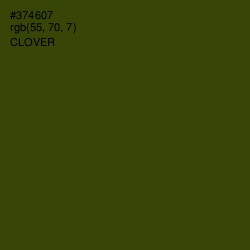 #374607 - Clover Color Image