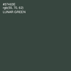 #37463E - Lunar Green Color Image