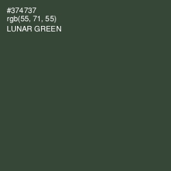 #374737 - Lunar Green Color Image