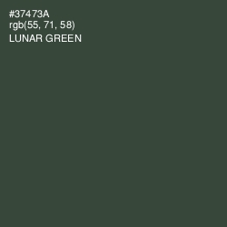 #37473A - Lunar Green Color Image
