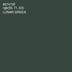 #37473F - Lunar Green Color Image