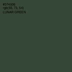 #374936 - Lunar Green Color Image