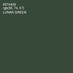 #374A39 - Lunar Green Color Image