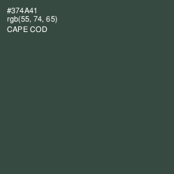 #374A41 - Cape Cod Color Image