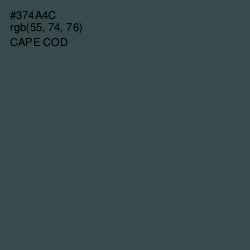 #374A4C - Cape Cod Color Image