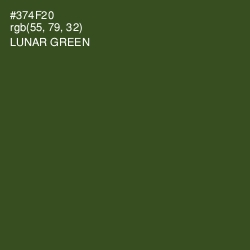 #374F20 - Lunar Green Color Image