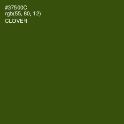 #37500C - Clover Color Image