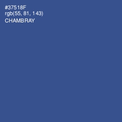 #37518F - Chambray Color Image