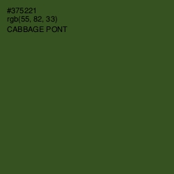 #375221 - Cabbage Pont Color Image