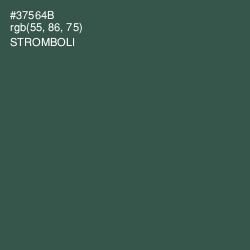 #37564B - Stromboli Color Image