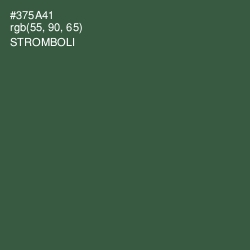 #375A41 - Stromboli Color Image