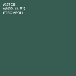 #375C51 - Stromboli Color Image