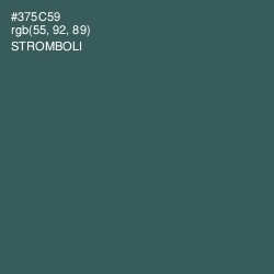 #375C59 - Stromboli Color Image