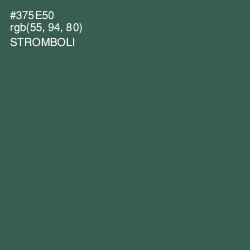 #375E50 - Stromboli Color Image