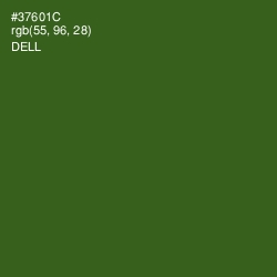 #37601C - Dell Color Image