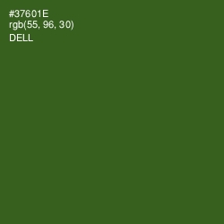 #37601E - Dell Color Image