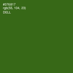 #376817 - Dell Color Image