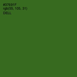 #37691F - Dell Color Image