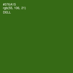 #376A15 - Dell Color Image