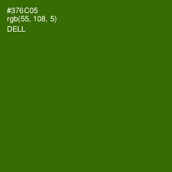 #376C05 - Dell Color Image
