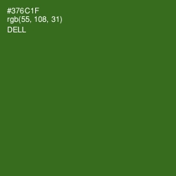 #376C1F - Dell Color Image