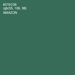 #376C58 - Amazon Color Image