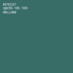 #376C67 - William Color Image