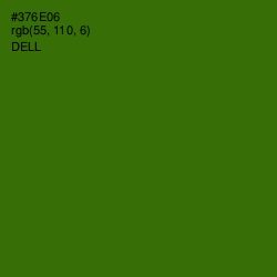 #376E06 - Dell Color Image