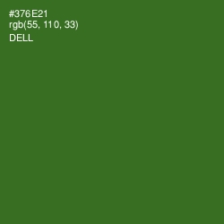 #376E21 - Dell Color Image