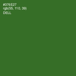 #376E27 - Dell Color Image