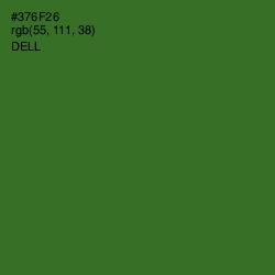 #376F26 - Dell Color Image