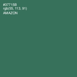 #37715B - Amazon Color Image