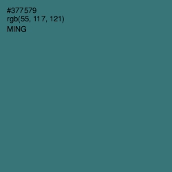 #377579 - Ming Color Image