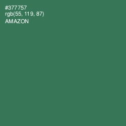 #377757 - Amazon Color Image